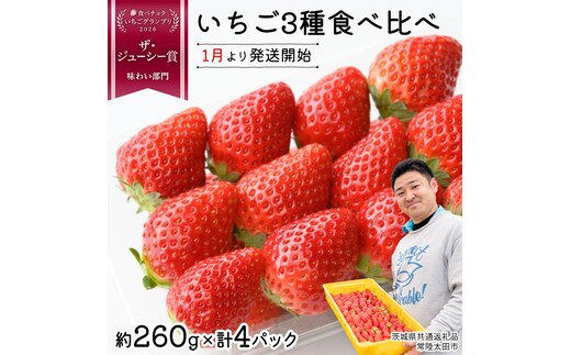 【 先行予約 】いちご 3種 食べ比べセット（4パック×1箱)【 2027年1月から発送開始 】 ( 常陸太田市 共通返礼品 ) 約 260g × 4パック いばらキッス ひたち姫 やよいひめ から 厳選して お届け 数量限定 果物 くだもの フルーツ 苺 イチゴ 期間限定