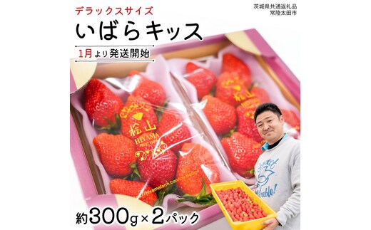 【 先行予約 】 いばらキッス ( 2パック ) 特大 デラックスサイズ 【 2027年1月から発送開始 】 ( 常陸太田市 共通返礼品 ) 約 300g × 2 パック いばらキッス いばらきっす いちご 数量限定 果物 くだもの フルーツ 苺 イチゴ 期間限定