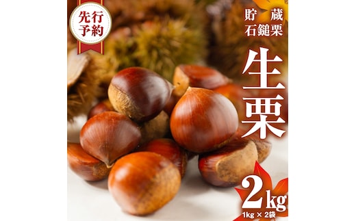 《 先行予約 》 栗 2kg （ 1kg × 2袋 ） 茨城県産 貯蔵 石鎚栗 生栗 くり クリ マロン 栗ご飯 栗ごはん 果物 フルーツ 冬 正月 おせち いしづち JA全農いばらき JA 【 2026年1月20日以降発送開始 】