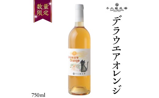 デラウエアオレンジ Delaware Orange 750ml×1本 茨城県産 牛久醸造場 日本ワイン ワイン 750ml ミディアムボディ お酒 贈り物 葡萄 ぶどう オレンジワイン