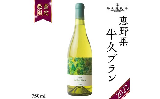 恵野果 牛久ブラン 2022 750ml×1本 茨城県産 牛久醸造場 日本ワイン ワイン 白ワイン 750ml ミディアムボディ お酒 贈り物 葡萄 ぶどう