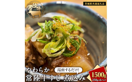 やわらか 常陸牛 すじ 煮込み 250g × 6パック (計 1500g )【茨城県共通返礼品】 牛すじ 牛肉 肉 和牛 にく 牛すじ肉