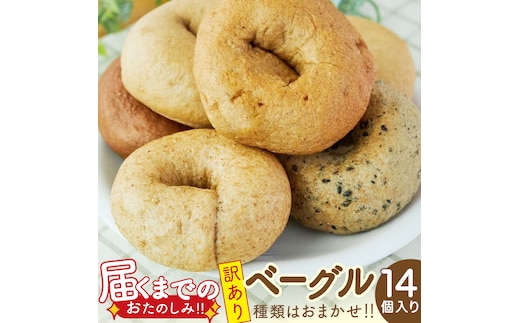 【 訳あり 】 おまかせ ベーグル 14個セット ロス わけあり ワケアリ 訳アリ フードロス 朝食 モーニング スイーツ 全粒粉 パン 詰め合わせ 食べ比べ 冷凍 