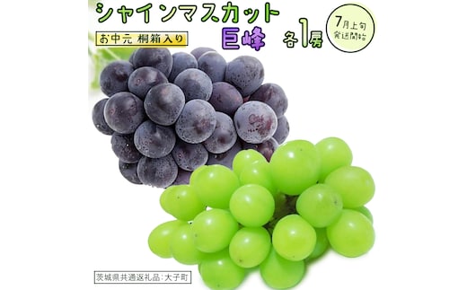 【 お中元 桐箱入り 】 シャインマスカット & 巨峰 (各１房) 【2026年7月上旬発送開始】(茨城県共通返礼品：大子町) ぶどう 葡萄 マスカット フルーツ 果物 贈答用 ギフト 贈り物