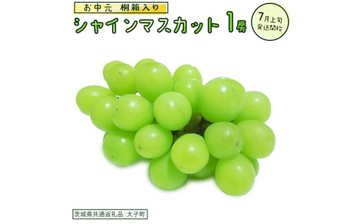 【 お中元 桐箱入り】 シャインマスカット １房 【2026年7月上旬発送開始】(茨城県共通返礼品：大子町) ぶどう 葡萄 マスカット フルーツ 果物 贈答用 ギフト 贈り物