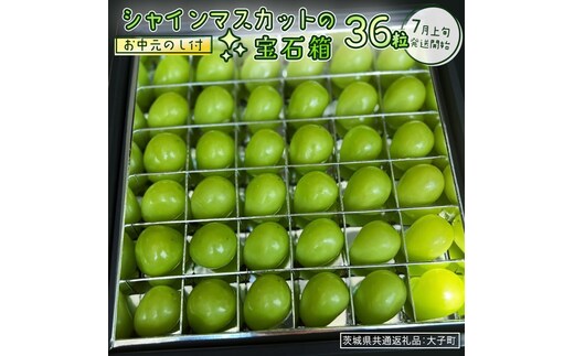 【 お中元 】『 シャインマスカット の宝石箱 (36粒) 』【2026年7月上旬発送開始】(茨城県共通返礼品：大子町) ぶどう 葡萄 マスカット フルーツ 果物 贈答用 ギフト 贈り物