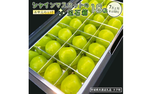 【 お中元 】『 シャインマスカット の宝石箱 (18粒) 』【2026年7月上旬発送開始】(茨城県共通返礼品：大子町) ぶどう 葡萄 マスカット フルーツ 果物 贈答用 ギフト 贈り物