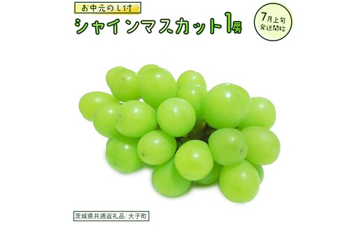 【 お中元 熨斗付き】 シャインマスカット １房 【2026年7月上旬発送開始】(茨城県共通返礼品：大子町) ぶどう 葡萄 ブドウ マスカット フルーツ 果物 贈答用 ギフト 贈り物