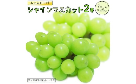 【 お中元 熨斗付き】 シャインマスカット ２房 【2026年7月上旬発送開始】(茨城県共通返礼品：大子町) ぶどう 葡萄 ブドウ マスカット フルーツ 果物 贈答用 ギフト 贈り物