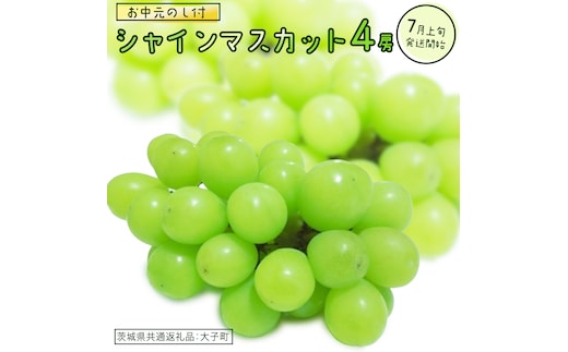 【 お中元 熨斗付き】 シャインマスカット ４房 【2026年7月上旬発送開始】(茨城県共通返礼品：大子町) ぶどう 葡萄 ブドウ マスカット フルーツ 果物 贈答用 ギフト 贈り物