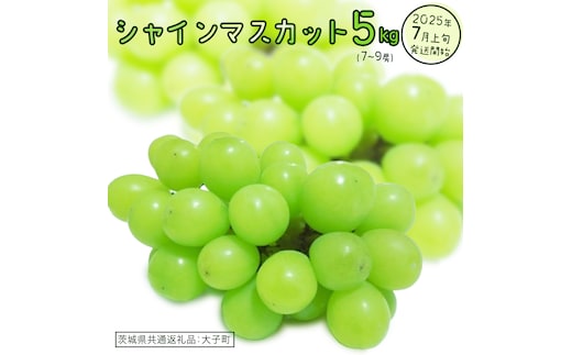 シャインマスカット 5kg (7～9房)【2025年7月上旬発送開始】(茨城県共通返礼品：大子町) ぶどう 葡萄 ブドウ マスカット フルーツ 果物 贈答用 ギフト 贈り物