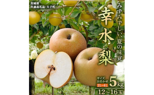 茨城県産 梨 幸水 サイズ おまかせ （2L～ 4L ） 5kg（ 12～16玉 ）【2026年8月中旬発送開始】 (茨城県共通返礼品：大子町) 梨 なし ナシ 果物 くだもの 季節 フルーツ デザート 旬果