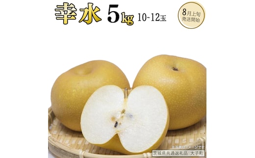 幸水 約5kg (10～12玉)【2026年8月上旬発送開始】(茨城県共通返礼品：大子町) 梨 なし 果物 くだもの フルーツ