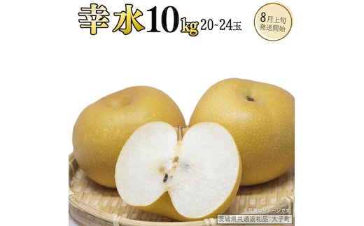 幸水 約10kg (20～24玉)【2026年8月上旬発送開始】(茨城県共通返礼品：大子町) 梨 なし 果物 くだもの フルーツ