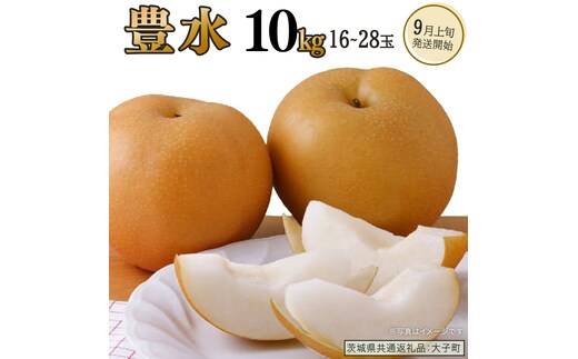 豊水約10kg (16～28玉)【2026年9月上旬発送開始】(茨城県共通返礼品：大子町) 梨 なし 果物 くだもの フルーツ