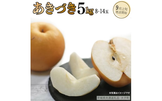 あきづき 約5kg（8～14個）【2026年9月上旬発送開始】(茨城県共通返礼品：大子町) 秋月 梨 なし 果物 くだもの フルーツ