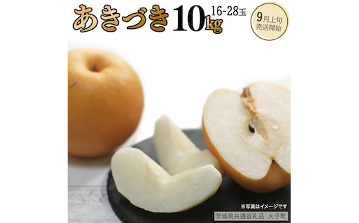 あきづき 約10kg（16～28個）【2026年9月上旬発送開始】(茨城県共通返礼品：大子町) 秋月 梨 なし 果物 くだもの フルーツ
