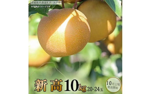 新高 約10kg (20～24玉)【2026年10月上旬発送開始】(茨城県共通返礼品：大子町) 梨 なし 果物 くだもの フルーツ にいたか