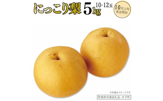 にっこり梨 約5kg (10～12玉)【2026年10月上旬発送開始】(茨城県共通返礼品：大子町) 梨 なし 果物 くだもの フルーツ にっこり