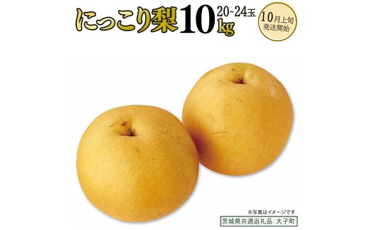 にっこり梨 約10kg (20～24玉)【2026年10月上旬発送開始】(茨城県共通返礼品：大子町) 梨 なし 果物 くだもの フルーツ にっこり