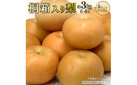 【桐箱入り】梨 約3kg (6～8玉) 【2026年8月上旬発送開始】(茨城県共通返礼品：大子町) なし 果物 くだもの フルーツ おまかせ 旬