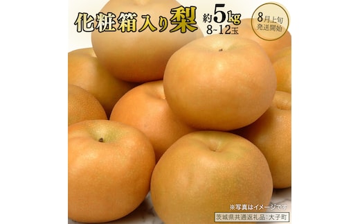 【化粧箱入り】梨 約5kg (8～12玉)【2026年8月上旬発送開始】(茨城県共通返礼品：大子町) なし 果物 くだもの フルーツ おまかせ 旬