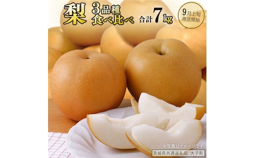 【食べ比べ】 梨 3品種 合計 約7kg 【2026年9月上旬発送開始】(茨城県共通返礼品：大子町) なし 果物 くだもの フルーツ おまかせ 旬