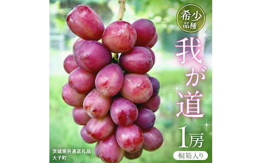 【桐箱入り】 我が道 １房【2026年9月上旬発送開始】(茨城県共通返礼品：大子町) シャインマスカット ウインク 葡萄 ブドウ ぶどう 果物 フルーツ 希少 新品種 贈答用 贈り物 ギフト プレゼント