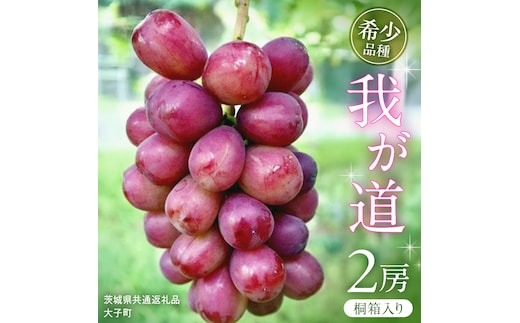 【桐箱入り】 我が道 ２房 【2026年9月上旬発送開始】(茨城県共通返礼品：大子町) シャインマスカット ウインク 葡萄 ブドウ ぶどう 果物 フルーツ 希少 新品種 贈答用 贈り物 ギフト プレゼント