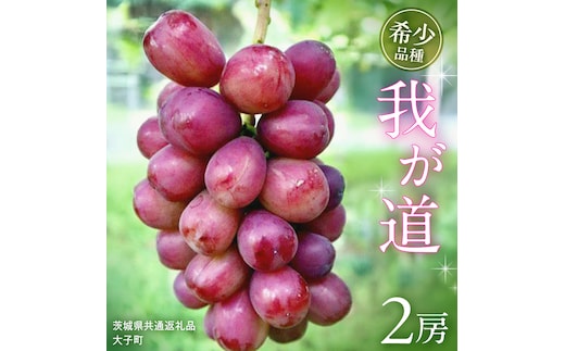 我が道 ２房【2026年9月上旬発送開始】(茨城県共通返礼品：大子町) シャインマスカット ウインク 葡萄 ブドウ ぶどう 果物 フルーツ 希少 新品種