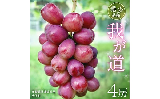 我が道 ４房【2026年9月上旬発送開始】(茨城県共通返礼品：大子町) シャインマスカット ウインク 葡萄 ブドウ ぶどう 果物 フルーツ 希少 新品種