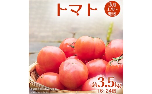 トマト 約3.5kg (16～24個)【2027年3月上旬発送開始】(茨城県共通返礼品：大子町) とまと 野菜 やさい