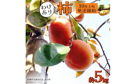 【 訳あり 】 柿 約5kg【2025年10月上旬発送開始】(茨城県共通返礼品：大子町) 柿 かき カキ 果物 フルーツ 旬 季節限定 期間限定