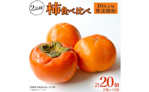 柿 食べ比べ 2品種×10個【2026年10月上旬発送開始】(茨城県共通返礼品：大子町) 富有柿 次郎柿 種無し柿 筆柿 太秋柿 果物 フルーツ 旬 季節限定 期間限定