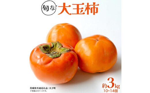 旬な大玉 柿 約3kg 10～14個 【2026年10月上旬発送開始】(茨城県共通返礼品：大子町) 柿 かき カキ 果物 フルーツ 旬 季節限定 期間限定