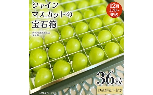 【 お歳暮 熨斗付き 】 シャインマスカット の宝石箱 36粒 (茨城県共通返礼品：大子町) ぶどう 葡萄 フルーツ 果物 贈答用 ギフト 贈り物