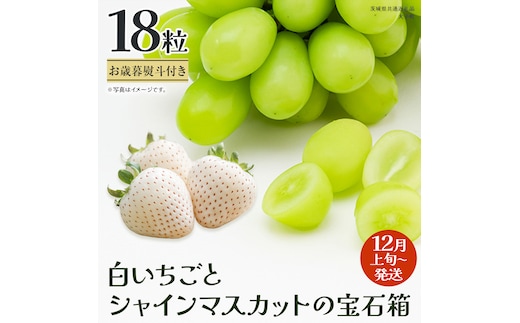 【 お歳暮 熨斗付き 】 白いちご と シャインマスカット の宝石箱 18粒 (茨城県共通返礼品：大子町) いちご マスカット 果物 フルーツ 旬 季節限定 期間限定 贈答用 ギフト 贈り物