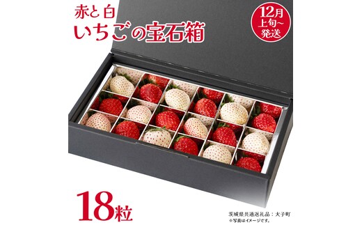 赤いちご と 白いちご の宝石箱18粒【2025年12月上旬発送開始】(茨城県共通返礼品：大子町) いちご 苺 果物 フルーツ 果実