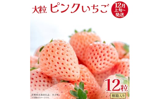 桐箱入り 大粒 ピンクいちご 12粒【2025年12月上旬発送開始】(茨城県共通返礼品：大子町) いちご 苺 果物 フルーツ 果実