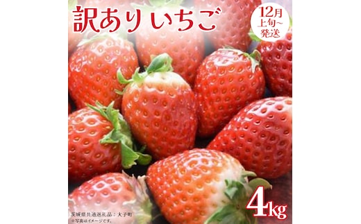訳あり いちご 4kg【2025年12月上旬発送開始】(茨城県共通返礼品：大子町) 苺 果物 フルーツ 果実 ご家庭用