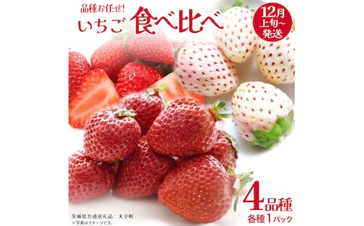 いちごの 食べ比べ 4品種×1パック【2025年12月上旬発送開始】(茨城県共通返礼品：大子町) いちご 苺 果物 フルーツ 果実