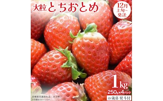 【 お歳暮 熨斗付き 】 とちおとめ 250g（8～12粒）×4パック (茨城県共通返礼品：大子町) いちご 苺 果物 フルーツ 果実 贈答用 ギフト 贈り物
