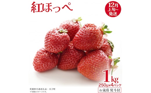 【 お歳暮 熨斗付き 】 紅ほっぺ 250g（8～12粒）×4パック (茨城県共通返礼品：大子町) いちご 苺 果物 フルーツ 果実 贈答用 ギフト 贈り物