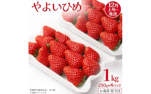 【 お歳暮 熨斗付き 】 やよいひめ 250g（8～12粒）×4パック (茨城県共通返礼品：大子町) いちご 苺 果物 フルーツ 果実 贈答用 ギフト 贈り物