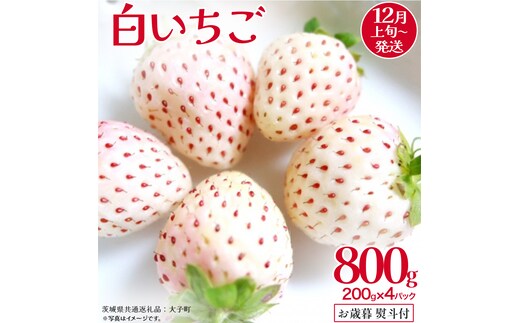 【 お歳暮 熨斗付き 】 白いちご 200g（8～12粒）×4パック (茨城県共通返礼品：大子町) いちご 苺 果物 フルーツ 果実 贈答用 ギフト 贈り物