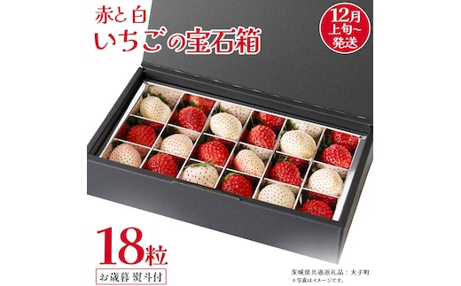 【 お歳暮 熨斗付き 】 赤いちご と 白いちご の宝石箱18粒 (茨城県共通返礼品：大子町) いちご 苺 果物 フルーツ 果実 贈答用 ギフト 贈り物