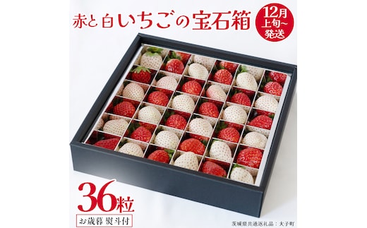 【 お歳暮 熨斗付き 】 赤いちご と 白いちご の宝石箱36粒 (茨城県共通返礼品：大子町) いちご 苺 果物 フルーツ 果実 贈答用 ギフト 贈り物