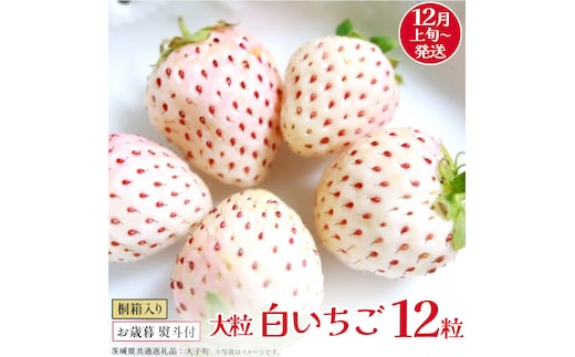 【 お歳暮 熨斗付き 】 桐箱入り 大粒 白いちご 12粒 (茨城県共通返礼品：大子町) いちご 苺 果物 フルーツ 果実 贈答用 ギフト 贈り物
