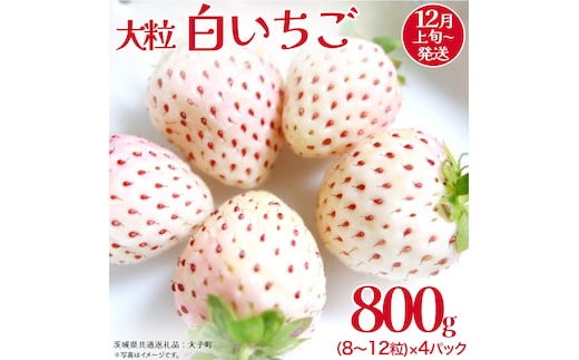 白いちご 大粒 200ｇ（8～12粒）×4パック【2025年12月上旬発送開始】(茨城県共通返礼品：大子町) いちご 苺 果物 フルーツ 果実