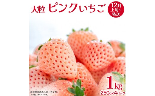 ピンクいちご 大粒 250g（8～12粒）×4パック【2025年12月上旬発送開始】(茨城県共通返礼品：大子町) いちご 苺 果物 フルーツ 果実